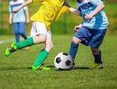 全新自研,系列绝鲨,方案,熊猫体育平台,熊猫体育官方网站,熊猫体育登录入口,熊猫体育app下载