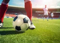 败中藏宝,广东队虽败,却迎喜讯,熊猫体育平台,熊猫体育官方网站,熊猫体育登录入口,熊猫体育app下载