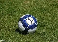 国足阵容揭,老将成主力,优质年轻球,熊猫体育平台,熊猫体育官方网站,熊猫体育登录入口,熊猫体育app下载