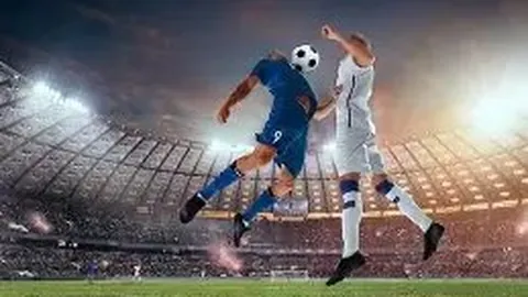 熊猫体育 产品 091804 fef