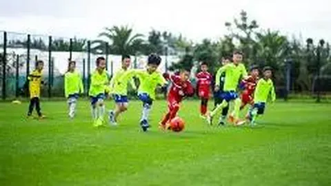 熊猫体育 产品 092035 tkx