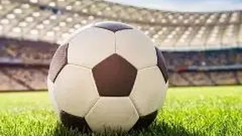 熊猫体育 产品 100054 f65