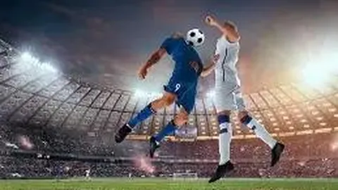 熊猫体育 资讯 100151 n3l