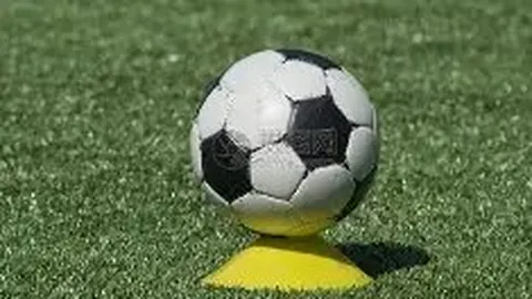 熊猫体育 资讯 100052 p3g