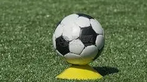 熊猫体育 产品 100802 300