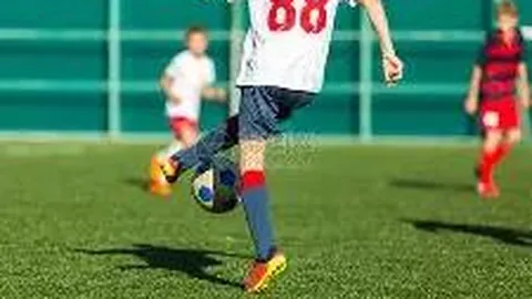 熊猫体育 产品 090805 sci