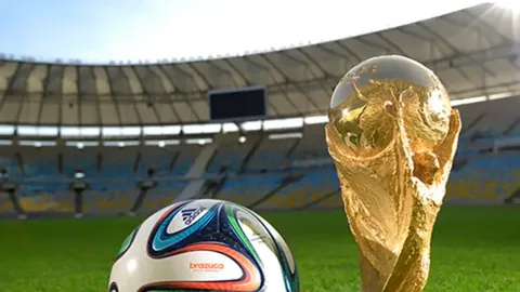 熊猫体育 产品 020230 b6h