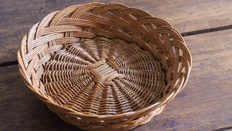 平湖乒乓球新秀全国夺冠，非凡才华备受关注！