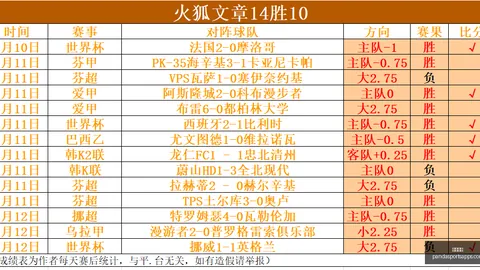 熊猫体育 093308
