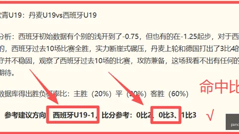 熊猫体育 094245